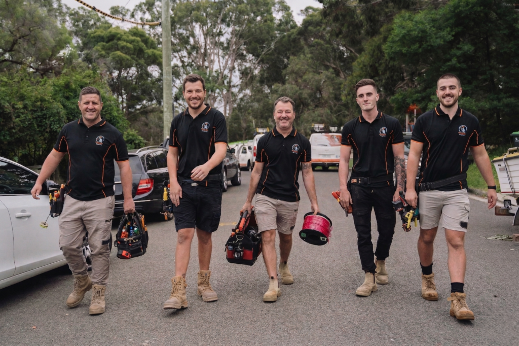 Professional electrical services in St Peters